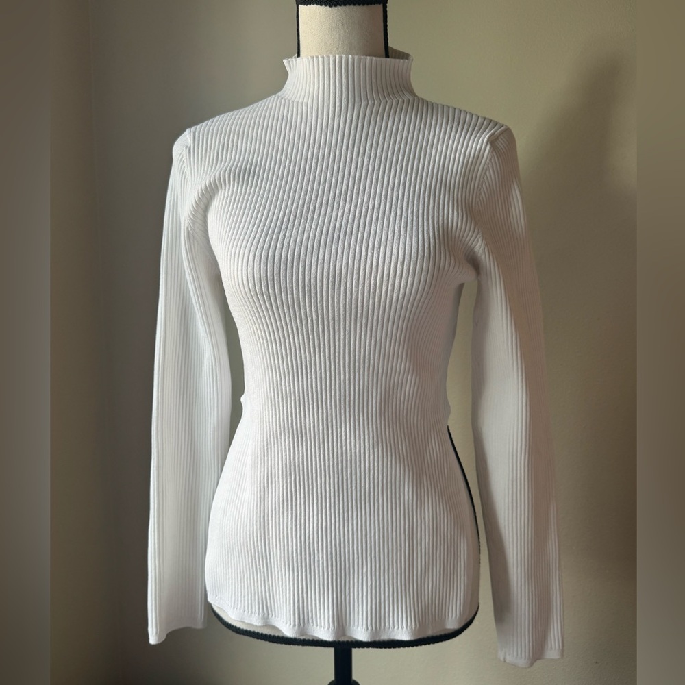 ARITZIA BABATON Ribbed Mock Neck Long Sleeve Sweater